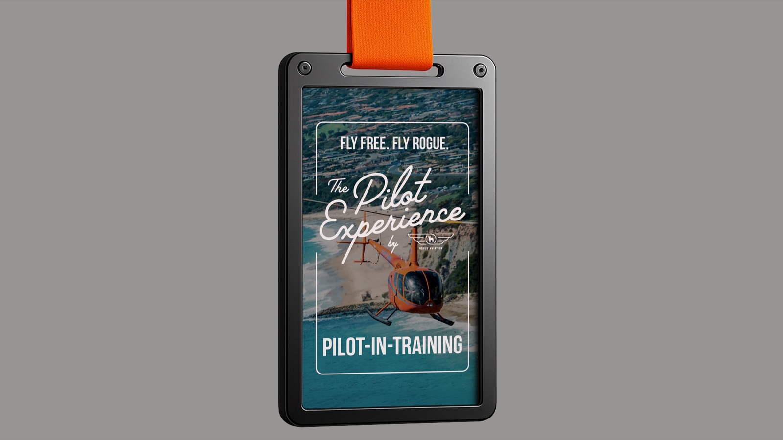 Pilot Experience ID card, front
